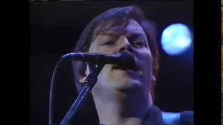 David Gilmour In Concert / Live at the Hammersmith Odeon -1984