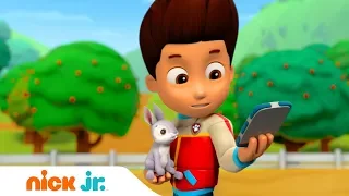 Щенячий патруль | Кроличья проблема | Nick Jr. Россия