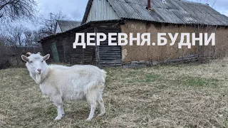 ДЕРЕВНЯ.БУДНИ.ДОБРАЯ СОСЕДУШКА.))деревенский парень на сердца за любовь