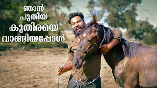 നമ്മൾ പുതിയ ബസും കുതിരയും വാങ്ങിച്ചു | Buying New Horse | M4 Tech |