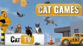 CAT Games | Cat City Adventures - A Feline Fantasy World! 😺🌃 | Cat TV Compilation