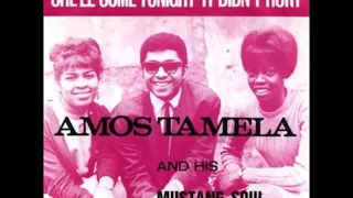 AMOS TAMELA and his MUSTANG SOUL - It Didn't Hurt - OMEGA (NED)