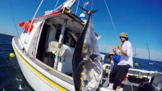 Wicked Tuna - Season Finale: June 4 - 15 sec