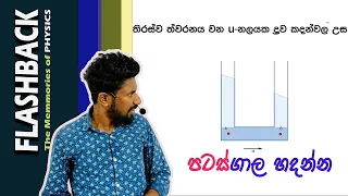 තිරස්ව ත්වරනය වන භාජනයක ද්‍රව මට්ටම | Flashback no.11 by Nirosh Malinga