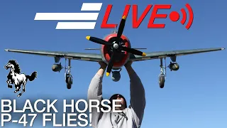 Maiden of the Black Horse P-47, Nexa Hurricane and more! - Motion RC LIVE - Ep. #45