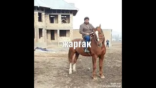 жаргак