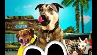 Собаки спешат на помощь Классный фильм Rescue Dogs 2016