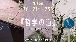 【Nikonと桜】京都の桜の名所『哲学の道』をスナップしてみた！