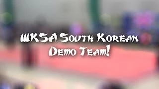 Kuk Sool Won: WKSA South Korean Demonstration Team