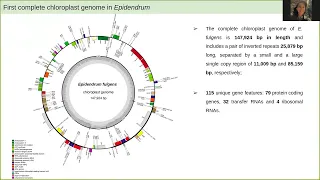 Jacqueline Mattos,  UNICAMP. First complete chloroplast Genome in Speciose Orchid genus...