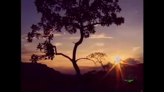 Abertura do filme “Cerrado: o pai das águas”