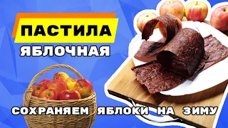 как сохранить домашние яблоки?!яблочная пастила в духовке!