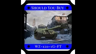 Should You Buy || WZ-120-1G FT