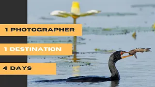 1 Destination, 1 Photographer, 4 Days - Chobe National Park