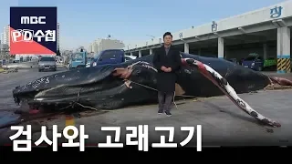 [Full] 검사와 고래고기_MBC 2018년 2월 20일 방송