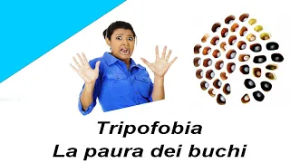 Tripofobia - la paura dei buchi -  medicina biologica - psicobiologia - biopsicosomatica