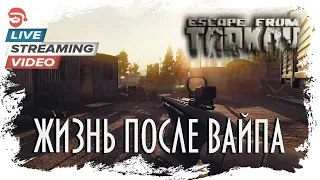 Жизнь после вайпа [Escape from Tarkov]