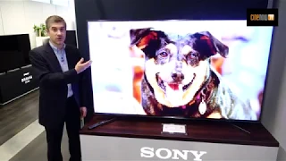 Sony TV 2019 : KD-85XG9505, KD-75XG9505, KD-65XG9505, KD-55XG9505 et KD-49XG9005