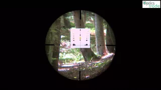 Sightron SIII 10-50x60 LR reticle Mil Dot subtensions