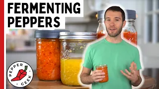 Let's Ferment Peppers! The Perfect Base for Delicious Hot Sauce - Pepper Geek