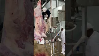 abattoir seke Zimbabwe