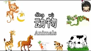 Learn about Animals in Chinese | 动物 dong wu | Learn chinese | Animals