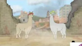 Lamas mit Hüten 3 (total behinderte hebräisch rückwerts Vers