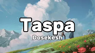 Taspa - Dosekesh (lyrics)