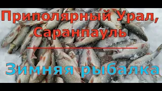 Зимняя рыбалка на приполярном урале, Саранпауль 2021.