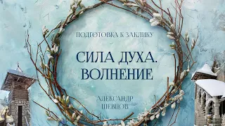 Волнение и сила духа | Александр Шевцов