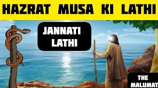 hazrat musa ki lathi | miracle of hazrat musa #shorts #islamicfacts