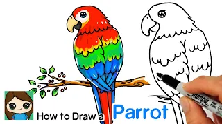 How to Draw a Parrot