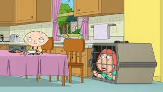 Family Guy - Stewie, Stewie? Stew? Stewart? Stew? Stewie? - Family Guy Season 20 Episode 16