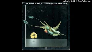 HUMMINGBIRD - GOT MY LED BOOTS ON - 1977 - PEKO SOUND