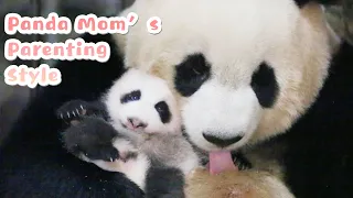 Panda Mom Cuddling Her Kid Is The Warmest Moment We Have Ever Seen | iPanda