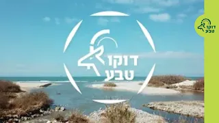 דוקו טבע: כל הנחלים זורמים לים