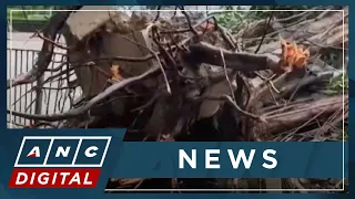 Super typhoon Saola makes landfall in South China's Zhuhai, causing massive disruptions | ANC