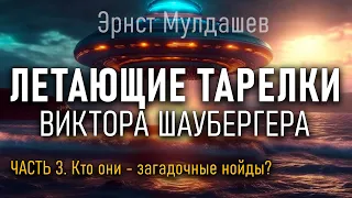 Летающие тарелки Виктора Шаубергера. Часть 3. Эрнст Мулдашев