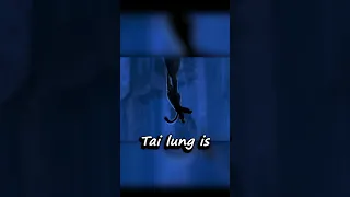 You Missed This Insane Detail About Tai Lung In Kung Fu Panda...