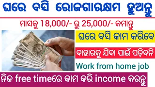 Work From Home Jobs in Odisha 2024// Part Time Jobs 2024//10th,+2,+3 and Freshers Can Apply Online