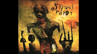 Skinny Puppy — Last Call (Brap Back & Forth Vol. 3 & 4)