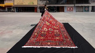 The 6×9 Red Bidjar Persian Rug: A Legacy of Elegance