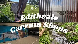 Exploring Melbourne: Walking From Edithvale Wetland To Carrum Shops