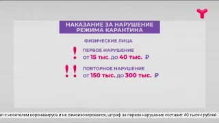 Ответственность за нарушение карантина