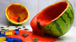 Stop Motion ASMR - Watermelon Slime Challenge Mukbang Primitive Cooking IRL Recipe 4K | Cuckoo