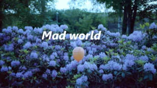 Mad World | Lyrics