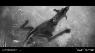 underwater scene scenes edit: marmaduke underwater scene black and white