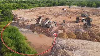 Episode24| Construction Equipment Dozers D61EX Smoothing  Push Soil Clearing Water  Plantation Area