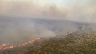 Лесные пожары в Австралии: пламя снова подбирается к Бирве