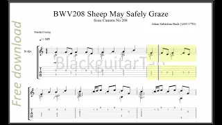 Guitar Classic: BWV 208 Sheep May Safely Graze-J.S Bach